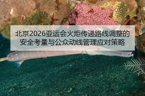 北京2026亚运会火炬传递路线调整的安全考量与公众动线管理应对策略