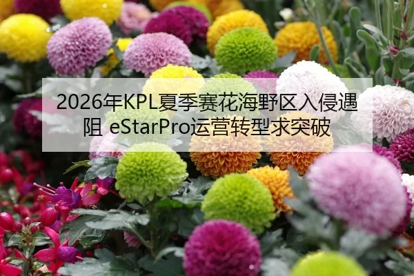 2026年KPL夏季赛花海野区入侵遇阻 eStarPro运营转型求突破